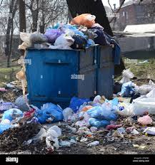 Same-Day Junk Removal Services in El Cerro, NM